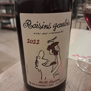 Raisins Gaulois - Domaine Marcel Lapierre - Mathieu & Camille Lapierre