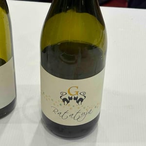 Ratatuja Bianco Frizzante - Azienda Agricola Gatti - carolina-gatti
