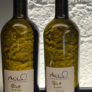 RcH - Crama Anul Zero - cornelius-pavaloi -2022