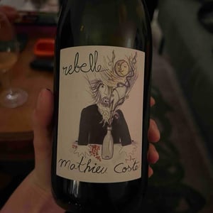Rebelle Blanc - Domaine Bio Coste - mathieu-coste