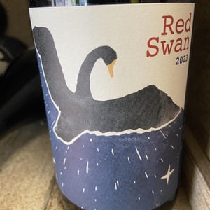 Red Swan - Les Céphéides - manon-ramone-et-lea-vigroux -2022