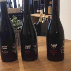 Regnié - Bonnet-Cotton - marine-bonnet-pierre-cotton