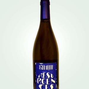 Résurgences - Domaine la Calmette - maya-sallee-nicolas-fernandez