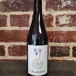 RÈvolution - Oenosapiens - federico-bezzi-filippo-grape-giacomo-minella -2021