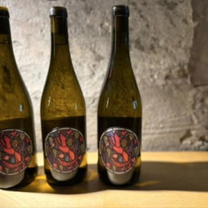 Riesling - Weinbau Julien Renard - julien-renard