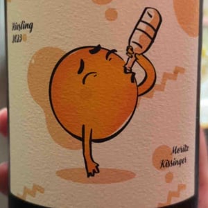 Riesling - Weingut Kissinger - moritz-kissinger -2021