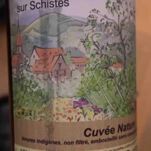 Riesling sur Schistes - Anna, André & Yann Durrmann - Anna, André & Yann Durrmann