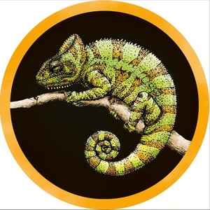 Riesling - Chamäleon-Wein Konrad - nora-konrad