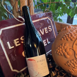 Ringo - Robin Carette - robin-carette -2021