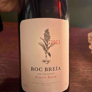 Roc Breïa - ROC BREÏA - theo-dancer -2022