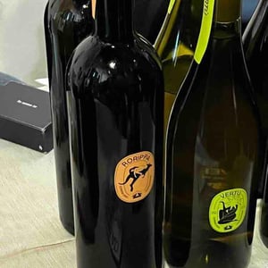 Rorippa - Lusenti - lodovica-lusenti -2023