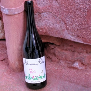 Rosé - Azienda Agricola Alessandro Viola - alessandro-viola