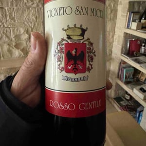 Rosso Gentile - Diego Vieceli - diego-vieceli -2024