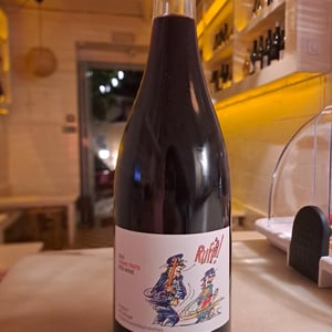 Rufia Tinto - Quinta da Boavista - Terras de Tavares - joao-tavares-de-pina