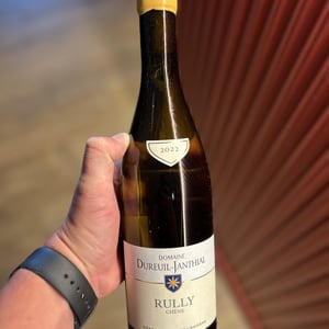 Rully Blanc - Domaine Dureuil Janthial - vincent-dureuil-janthial