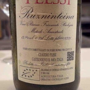 Ruzninteina - Claudio Plessi - claudio-plessi