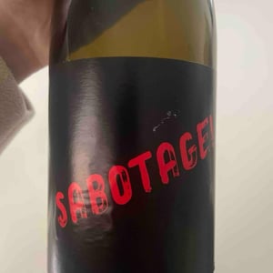 SABOTAGE! - Scelta di Vite - gianluca-sinigaglia