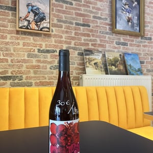 Sain-Ju - Domaine de la Gapette - victor-blondin -2021