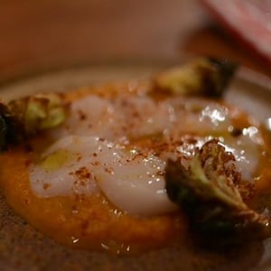 Saint Jacques - CEBA - 1302747