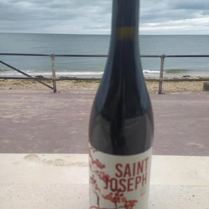 Saint-Joseph - François Dumas - francois-dumas