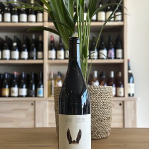 Saint Joseph Rouge - Domaine de l'Iserand - jean-francois-malsert -2021