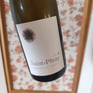 Saint-Péray - Domaine De Lorient - laure-colombo-dimitri-roulleau-gallais