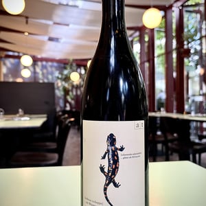 Salamander - Morillon - Weingut Andreas & Elisabeth Tscheppe - andreas-elisabeth-tscheppe