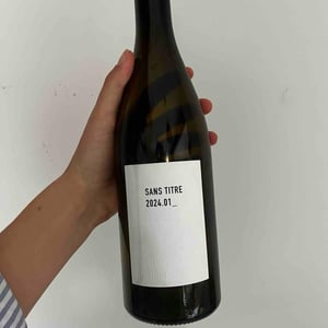 Sans titre - Guillaume & Charles Soulier - guillaume-charles-soulier -2024