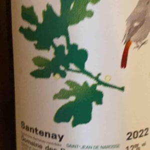 Santenay Saint-Jean de Narosse - Domaine des Rouges-Queues - isabelle-jean-yves-vantey