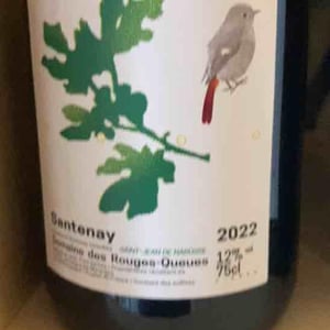 Santenay Saint-Jean de Narosse - Domaine des Rouges-Queues - isabelle-jean-yves-vantey