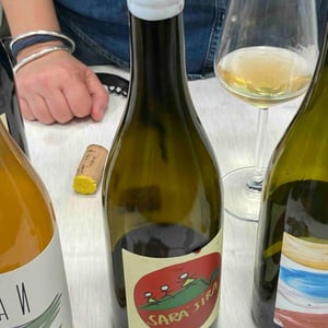 Sarà Sira - Azienda Agricola Giorgia Grande - giorgia-grande