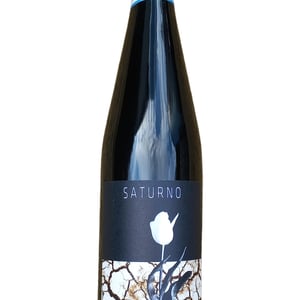 Saturno - Clio Cicogni - Clio Cicogni