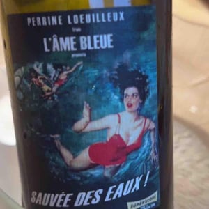 Sauvée des Eaux X Philippe Morat & Lionel Condoret - L'Âme Bleue - perrine-loeuilleux-alix-wineglass-gypsy-queen -2022