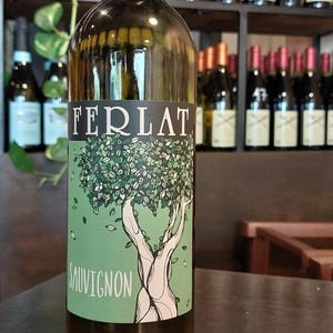 Sauvignon - Società Agricola Silvano Ferlat - moreno-ferlat