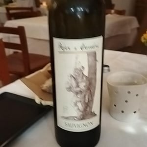 Sauvignon - Azienda Agricola Pojer e Sandri - mario-pojer-fiorentino-sandri