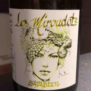 Savabien - Les Miroudots - nicolas-bernard -2023