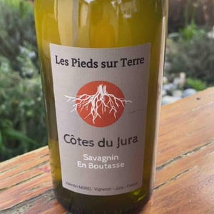 Savagnin - Les Pieds Sur Terre - valentin-morel