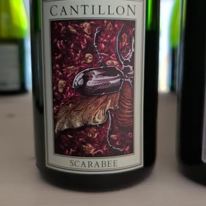 Scarabée - Brasserie Cantillon - la-famille-cantillon -2024