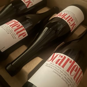 Scarlette - Laurent Saillard - laurent-saillard