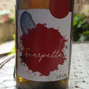 Scarpetta - L'Acino - dino-briglio-nigro