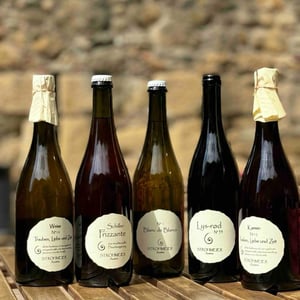 Schilcher Frizzante - Strohmeier - franz-strohmeier