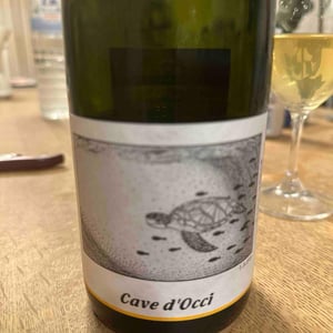 うみがめ - Cave d’Occi - カーブドッチワイナリー - ryusei-kusano