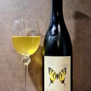 Segelfalter - Gelber Muskateller - Weingut Andreas & Elisabeth Tscheppe - andreas-elisabeth-tscheppe