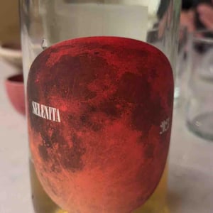 Selenita Brisant - DiT Celler - dani-sanchez-maria-fernando-barrena -2023