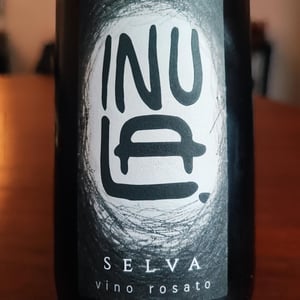 Selva - Inula - filippo-cattaneo-giulia-cecchelin