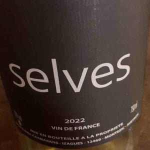 Selves - Nicolas Carmarans - nicolas-carmarans