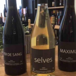 Selves - Nicolas Carmarans - nicolas-carmarans