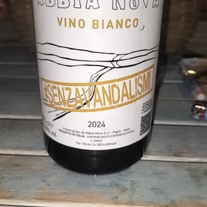 Senza Vandalismi - Abbia Nòva - daniele-pierluca-proietti