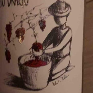 Sergio Drago Rosa - Sergio Drago - sergio-drago