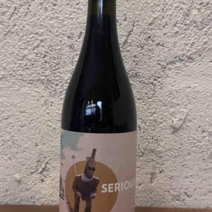 Serious - Villa Job - alessandro-job